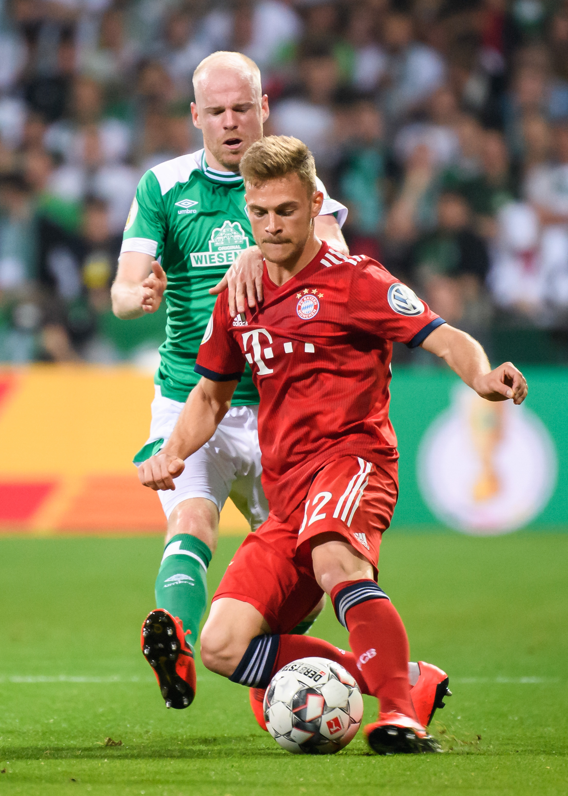 变化感到欣 变化感到欣